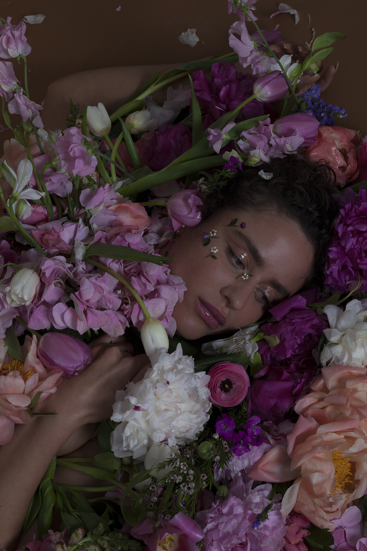 Dillon (DE) MeetFactory Music Dillon (DE)