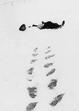 Elfriede Jelinek: he not himself