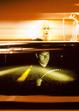 Letní kino: Lost Highway